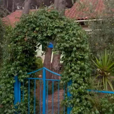 Villa Wild Pines Sea House